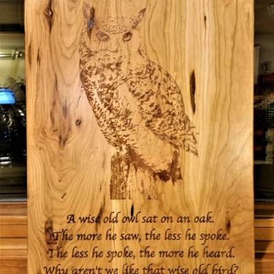 Wiseowl