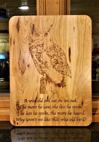 wiseowl